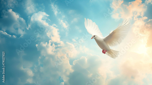 white dove flying in a sky with clouds photo