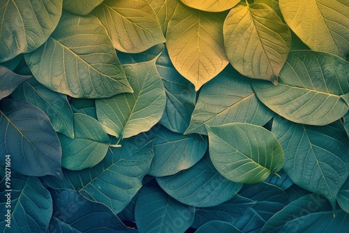 Bunch of Green Leaves Close Up