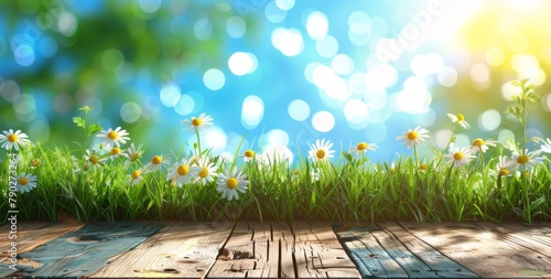 Wooden Floor With Daisies in Grass