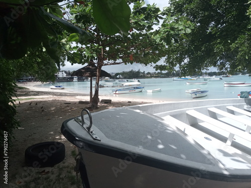 Trou aux biches  beach, Mauritius photo