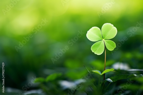 A single, perfect clover highlighted in a soft pastel green light, symbolizing hope and fortune in a subtle and elegant way © Pawankorn