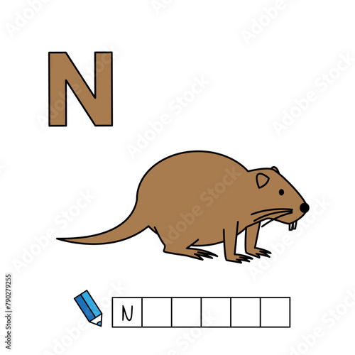 Alphabet with cute cartoon animals isolated on white background. Learning to write game for children education. Vector illustration of nutria and letter N (ID: 790279255)