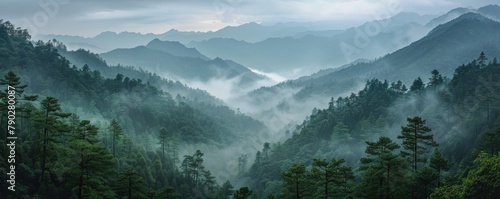 Fog-Covered Mountain Range