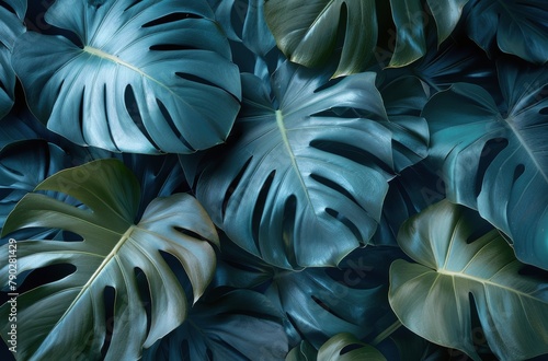 Close Up of Green Leaves