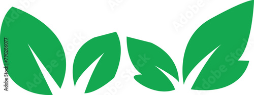 Set green leaves icon vector isolated on white background. Various shapes of green leaves of trees and plants.Eps 10