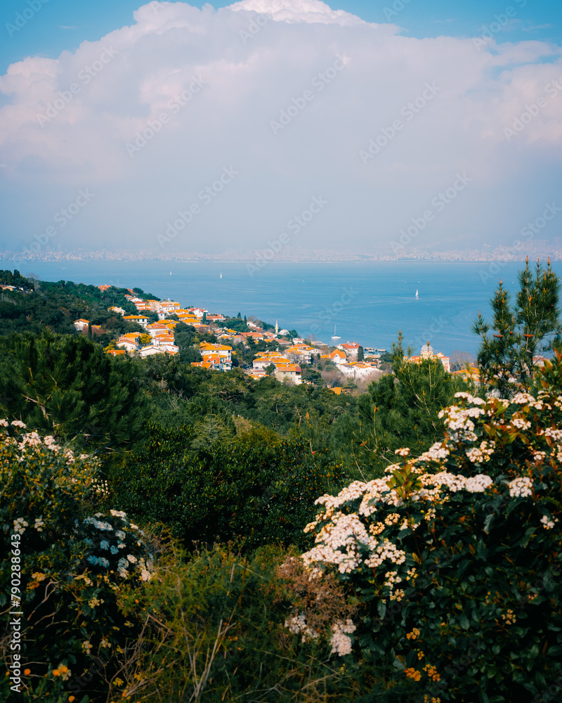 view of the sea from the top; vacation near the sea; greens; town near the sea; orange rooftops