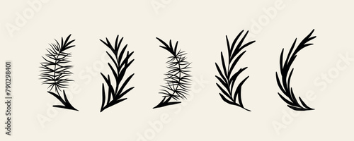 Flat vector tea tree branches collection