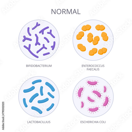 Cartoon good bacteria. Biological microorganism, normal microbiota, microbes and bacteria, good flora microorganism flat vector illustration. Good bacteria in petri dish