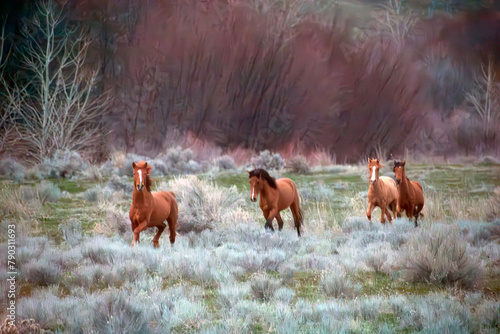 Wild Horses, Yakima Washington photo