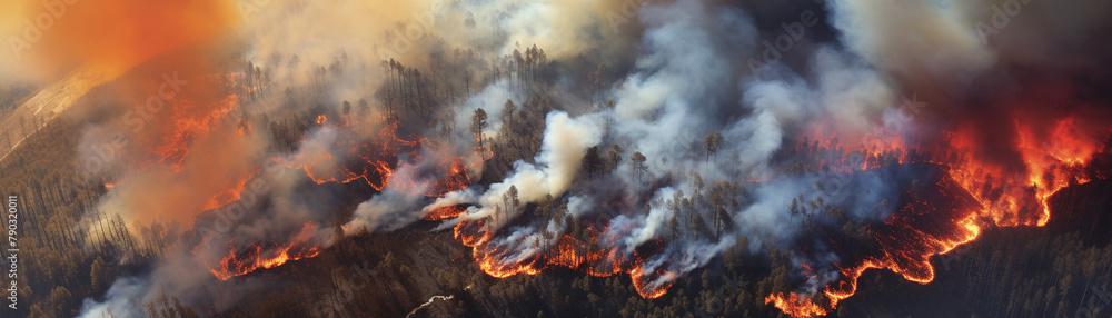 Satellite image of a forest engulfed in flames, smoke plumes stretching across the landscape, showcasing the scale of wildfire disaster