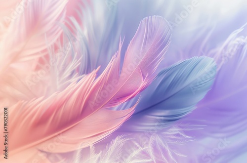 Close Up of a Pink and Blue Flower © yganko