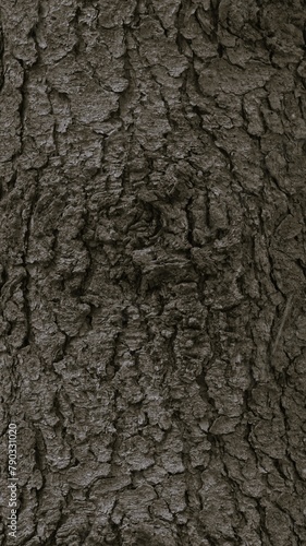 Vertical dark wooden texture background