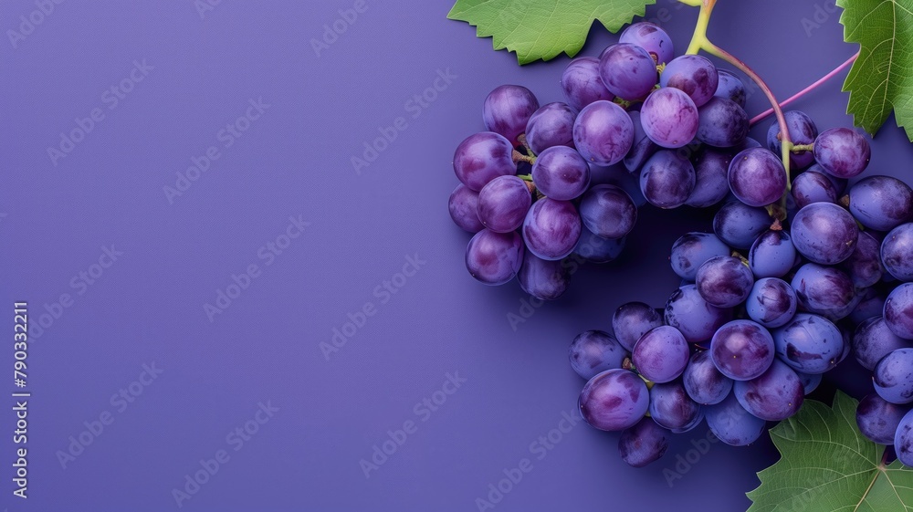 Fototapeta premium Purple grapes on violet background with space for text