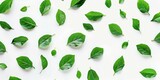 leaf pattern, white background, green leaves, simple colors, flat design