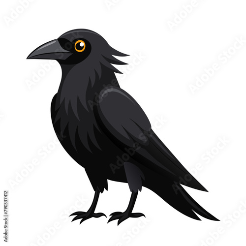 crow bird cartoon style on white background