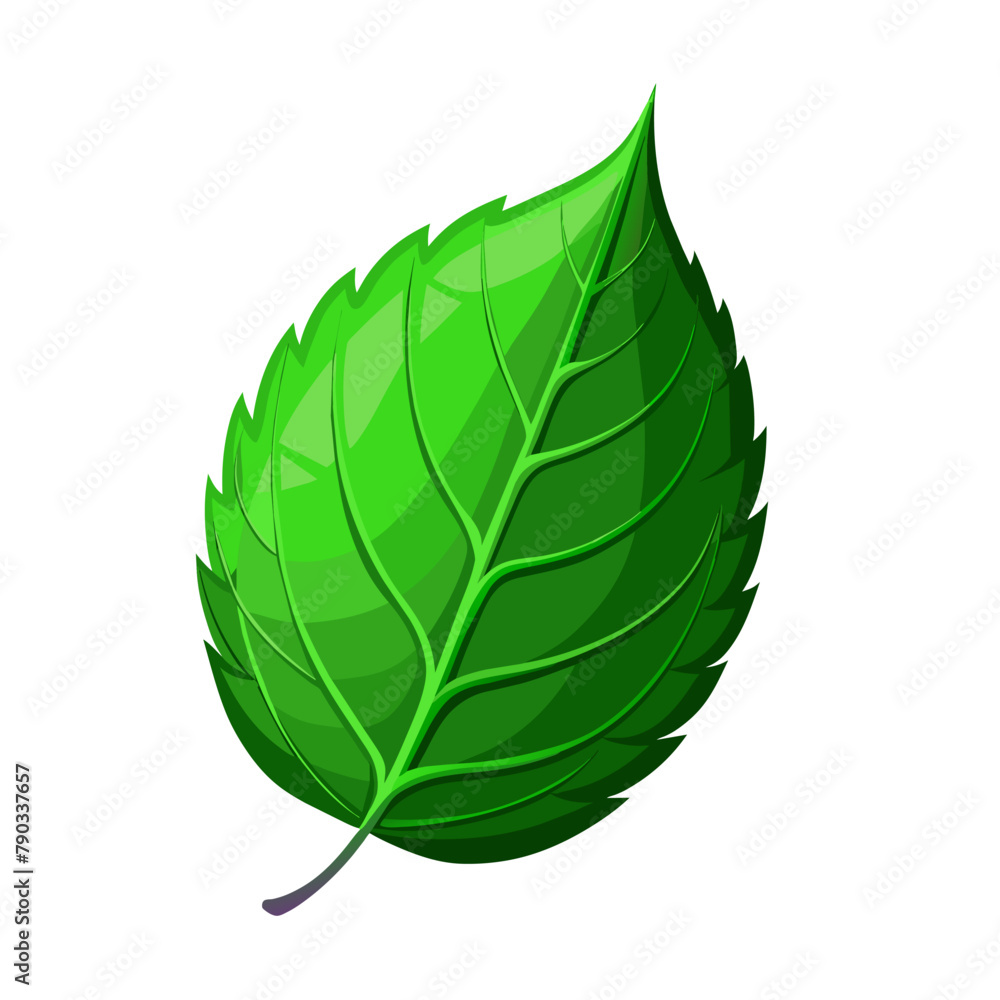 Obraz premium Green spring leaf art drawn on white background