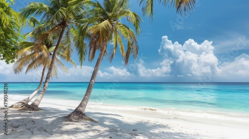 Tropical paradise: Palm trees sway in the breeze on a pristine tropical beach, where turquoise waters meet white sandy shores.
