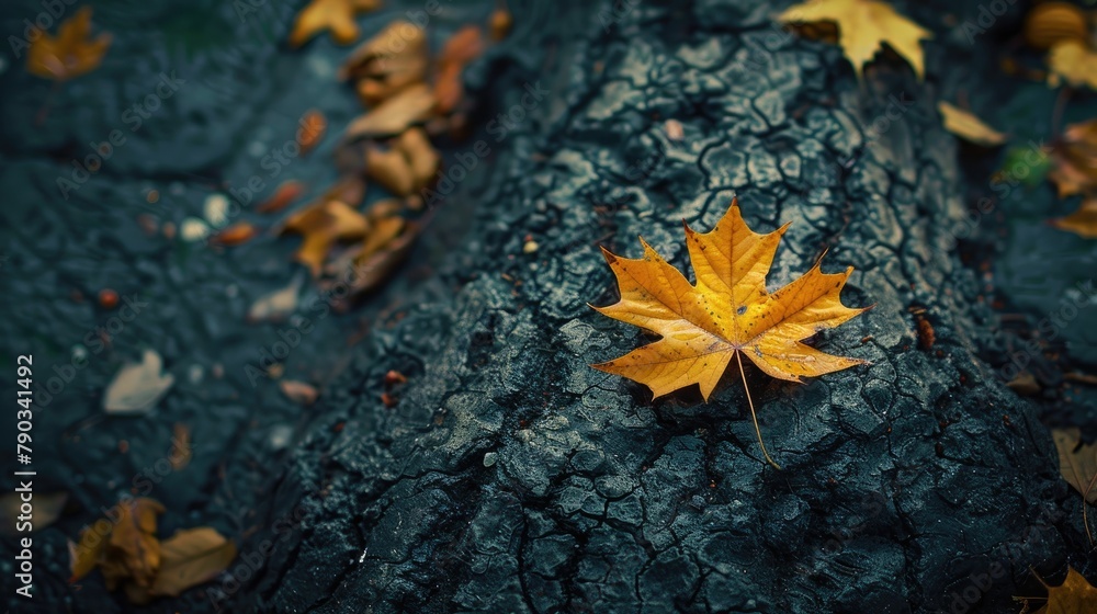 The leaf had separated from its tree The leaf had separated from its tree