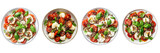 Set of A Caprese Salad with Mozzarella and Quinoa on a ,transparent background