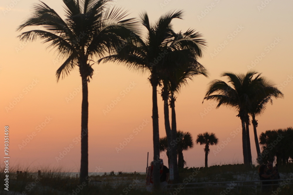 Sunset Sky on Beach in Tropical Florida palm trees Stock Photo