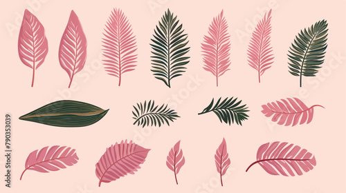 Bundle of tropical leaves of various plants hand dr
