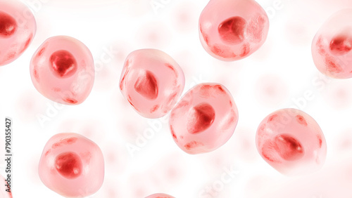 Tableau sur toile Embryonic stem cell. Human cell. 3d illustration.