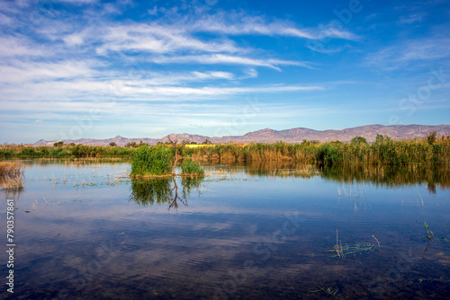 Lagoon of the Hondo Natural Park in Alicante, Spain, place of migratory birds with the reflection of the clouds in the water