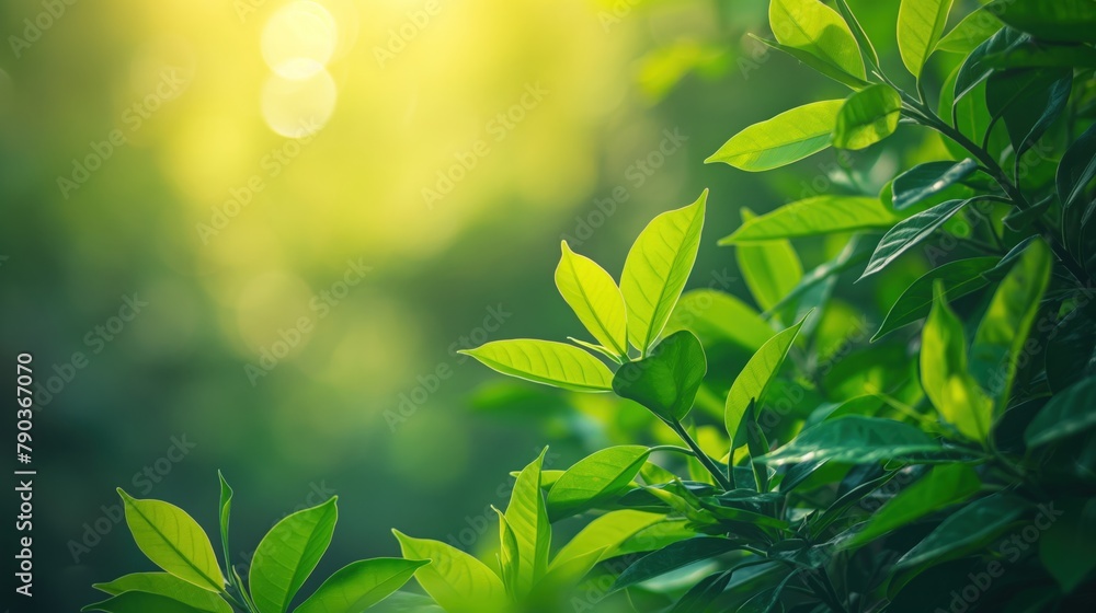 Obraz premium Detailed view of a vibrant green leafy plant in a natural setting