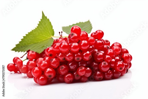 Fresh viburnum berry clusters accompanied by vibrant leaves. Red berries of viburnum isolated on white background. Concept of traditional remedies, seasonal fruits, and natural health.