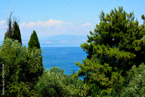widok na morze między drzewami, wakacyjny krajobraz, sea ​​view between trees, holiday landscape, Coast view from the top between trees

