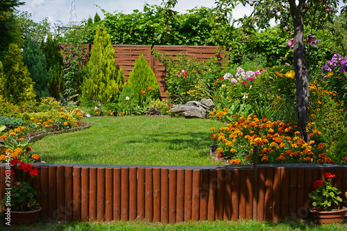 zielony trawnik w ogrodzie otoczony krzewami ozodbnymi i kolorowymi kwiatami, beautiful garden with shrubs, lily, marigold and conifers, designer garden	 photo