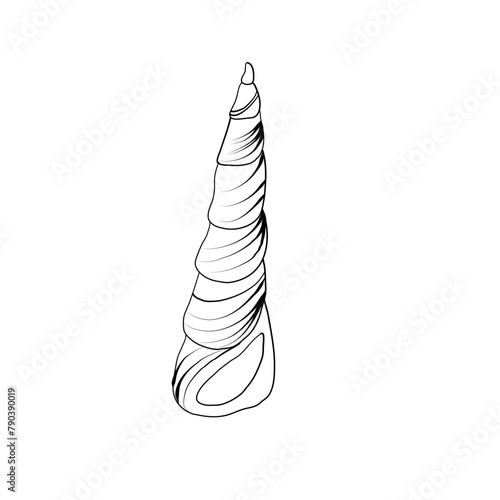 Hand drawn Vector line art illustration of sea Shell on isolated background. Drawing of Scallop and Starfish on outline style. Sketch of Cockleshell painted by black ink. Underwater fine art