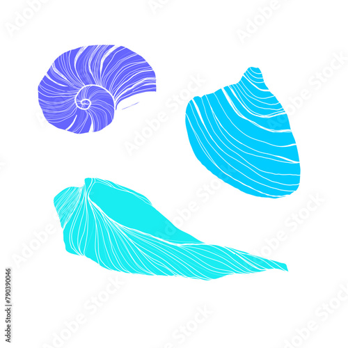 Vector Seashells line art set. Hand drawn illustration of sea Shells on isolated background. Drawing of Scallop and Starfish on outline style. Sketch of Cockleshell painted by black ink. 