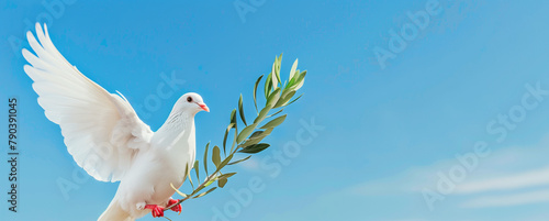 Experience serenity as a white dove gracefully carries an olive branch into a boundless blue sky - Pentecost  or Peace theme photo