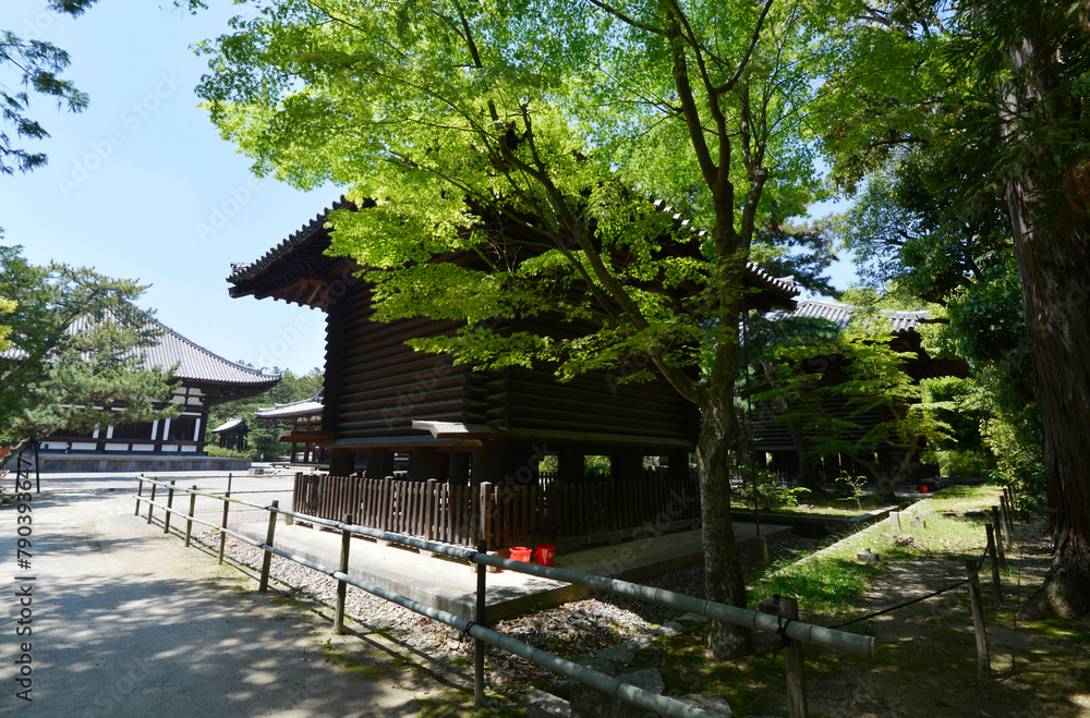 新緑の唐招提寺 経蔵 奈良市五条町 新緑の唐招提寺 経蔵 奈良市五条町