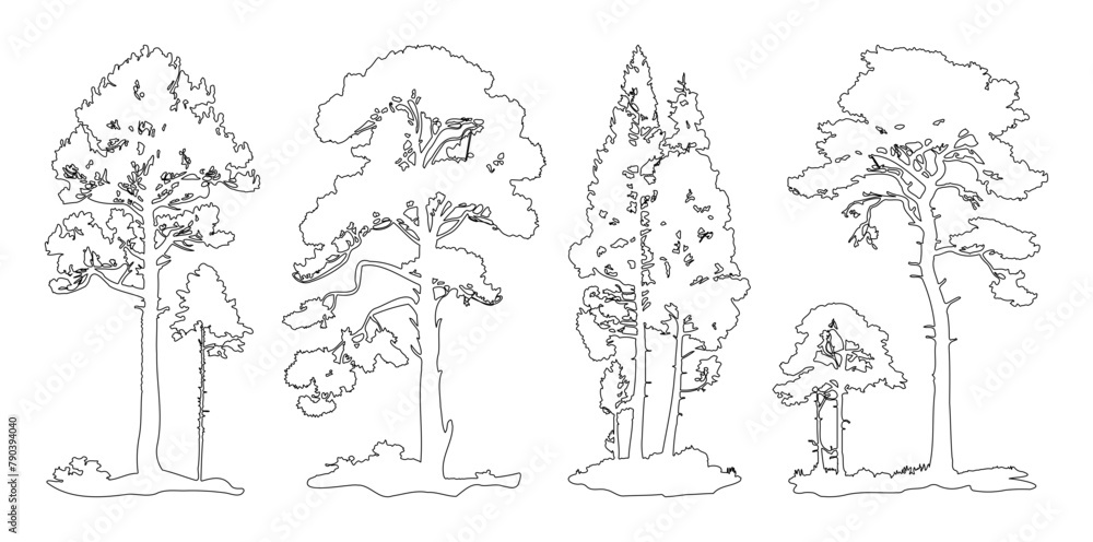 custom made wallpaper toronto digitalPine tree silhouette stroke outline, Minimal style, Side view, set of graphics trees elements filled symbol for architecture and landscape design. Vector illustration, Pinus Sylvestris, Tree Elements