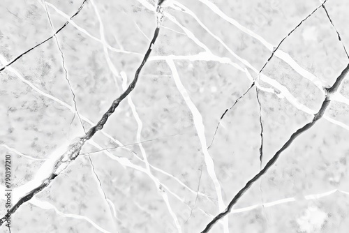 This high-quality image captures the intricate details of a natural marble surface, highlighting the contrasting veins and textures that make marble a popular choice for luxury finishes in photo