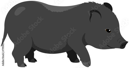 Vietnamese pot-bellied pig. Black mini pig. Cute baby pig. Isolated minimalistic illustration without background.