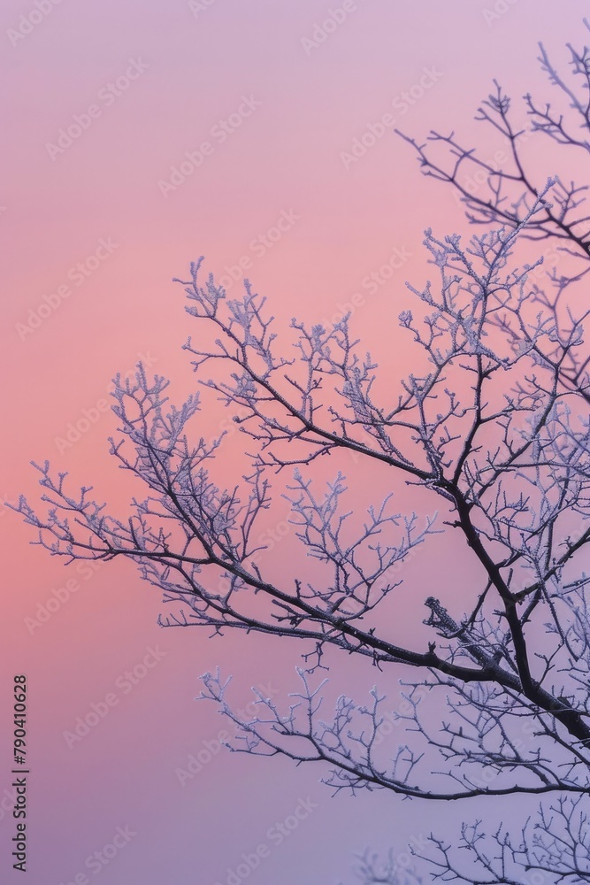 Fototapeta premium The bare tree branches delicately intertwine under the soft pastel twilight sky, resembling a lace pattern.