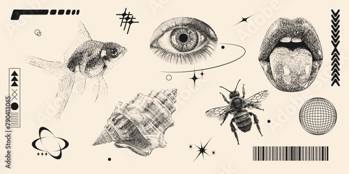 Retro futuristic photocopy elements set. Eye, lips, seashell, bee, fish and geometric abstract shapes with grain effect and stippling. Y2k print for brutal design. Contemporary vector illustration.