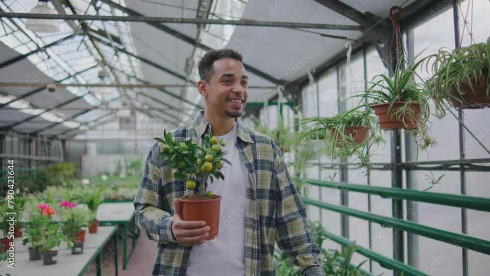 Portrait of a joyful man holding in his hands a beautiful citrus tree in a pot that he grew. The man chose and bought a plant in a flower shop or greenhouse. Portrait of a joyful man holding in his hands a beautiful citrus tree in a pot that he grew. The man chose and bought a plant in a flower shop or greenhouse.