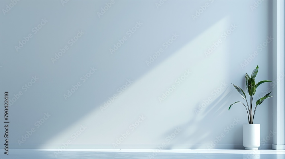 Minimalist interior with single potted plant in white room Minimalist interior with single potted plant in white room