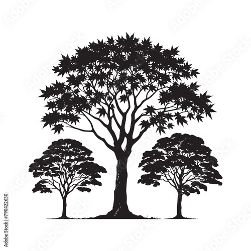  retro vintage maple tree silhouette black and white illustration   Classic Maple Tree Designs  Vector Tree Illustration  Maple Silhouette Artwork  Retro Vintage Tree Silhouettes