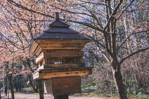 Bird feeder near Japanese sakura in Moscow (ID: 790424051)