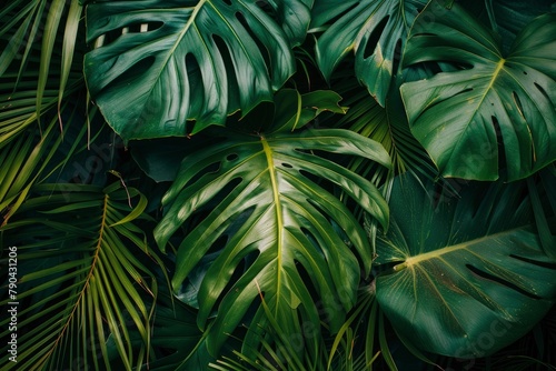 closeup nature view of green leaf and palms background. Flat lay, dark nature concept, tropical leaf - generative ai