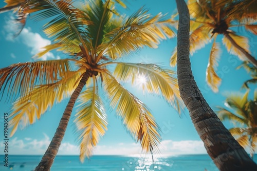 A palm tree basked in sunlight  with a sparkling ocean backdrop and bokeh effect  inspires a dreamy beach day