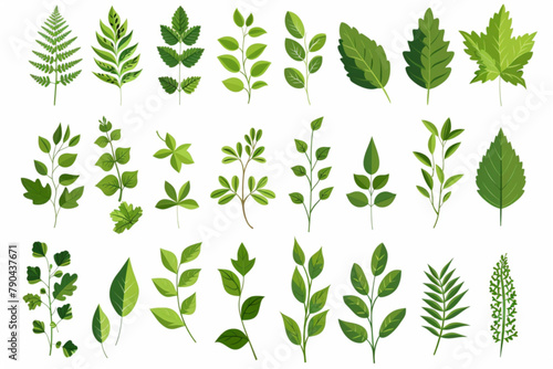 set of various green leaves element vector icon  white background  black colour icon
