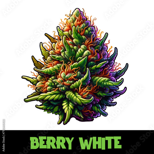 Vector Illustrated Berry White Cannabis Bud Strain Cartoon
