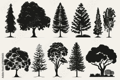 silhouette tree line drawing set  Side view  set of graphics trees elements outline symbol for architecture and landscape design drawing. Vector illustration in stroke fill in white vector icon  white
