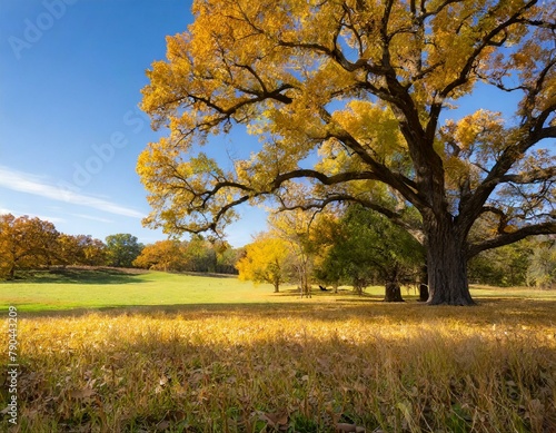 A peaceful meadow blanketed in a carpet of golden leaves, with majestic oak trees standing sentinel against the backdrop of a clear autumn sky.
